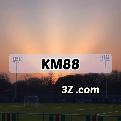 Suporte Incrível na Plataforma km88.com Eleva Seu Jogo